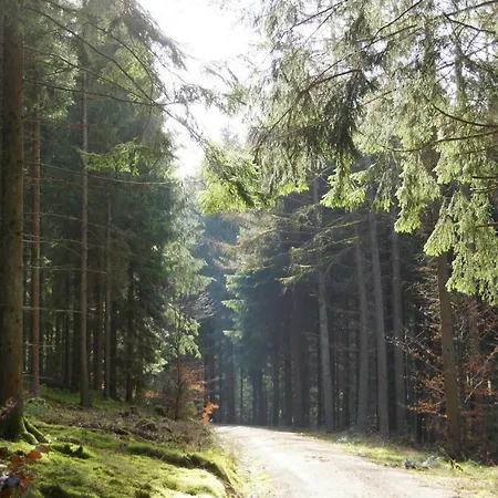 Eifel Romantica Hébergement de vacances Udler